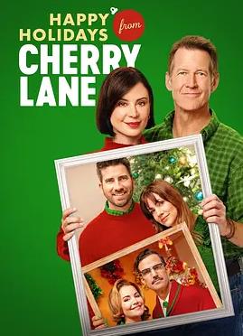 三九影院高清电影《孤舟》海报